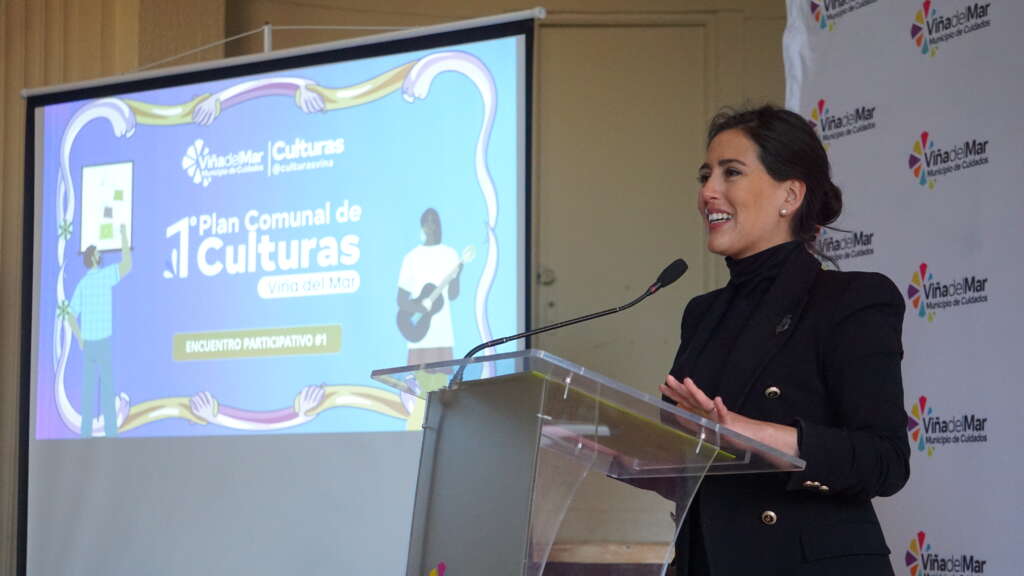 Viña del Mar tendrá el Primer Plan Comunal de Culturas con la participación de la comunidad