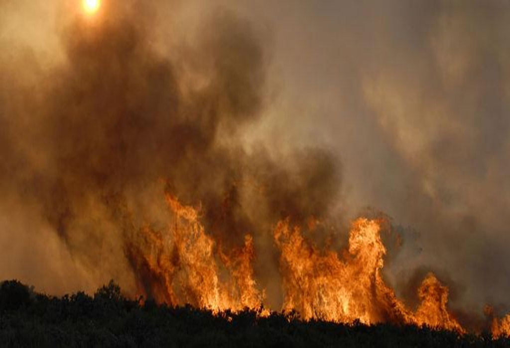 Más de mil hectáreas consumidas por incendio forestal en Chile