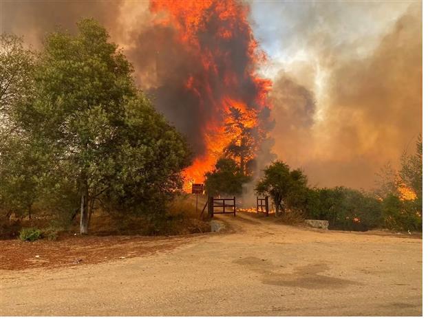 Unión Europea entrega fondos para afectados por incendios en Chile