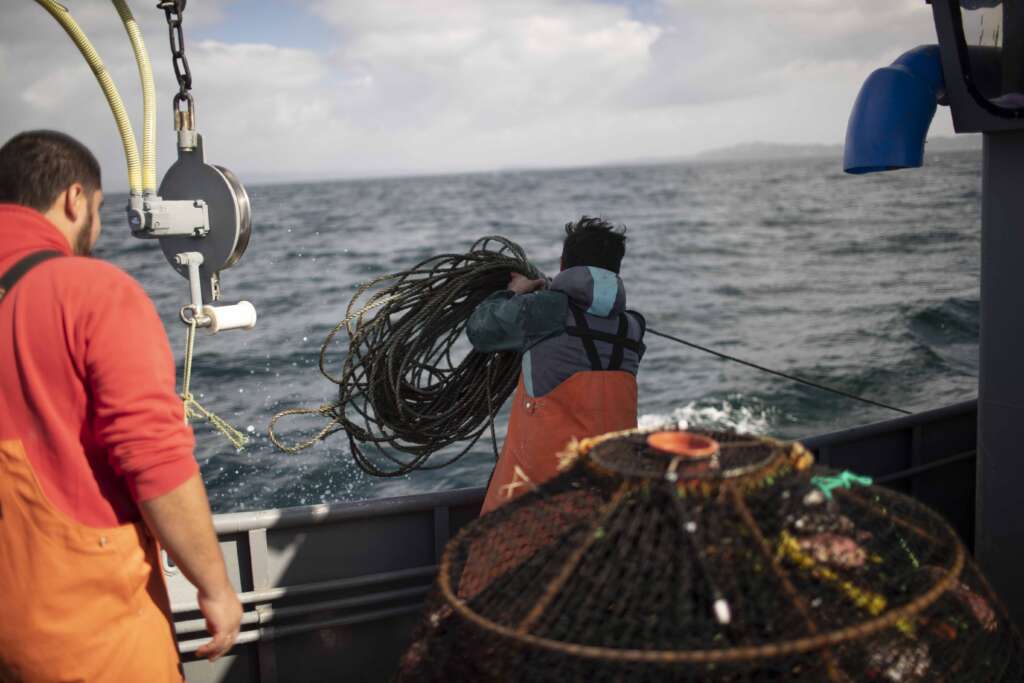 ECMPOs: La lucha por proteger los recursos marinos para proveer el sustento de los pescadores artesanales de Aysén