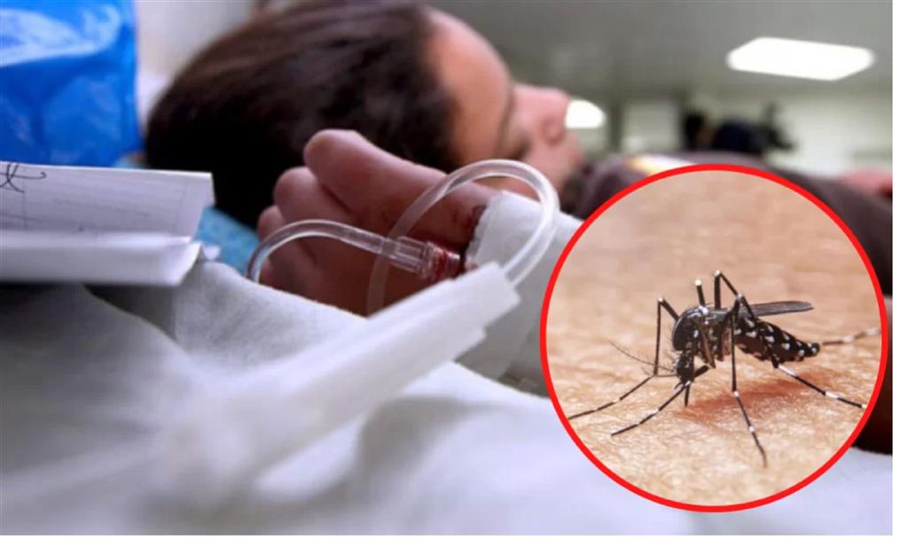 Chile registra 81 casos importados de dengue en 2024