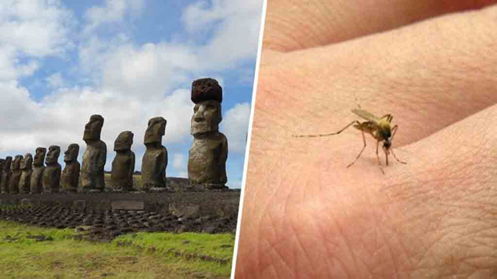 Aumentan casos de dengue en isla chilena de Rapa Nui