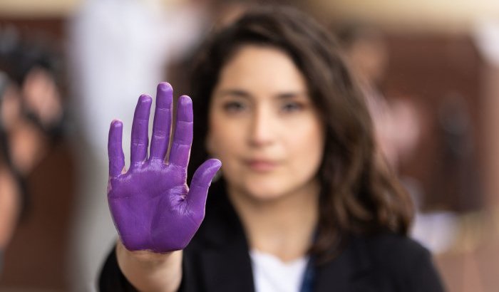 Avanza en Chile proyecto de ley contra la violencia hacia la mujer